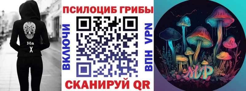 что такое   Темрюк  Псилоцибиновые грибы ЛСД 